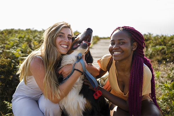 Équipe passionnée travaillant avec les animaux