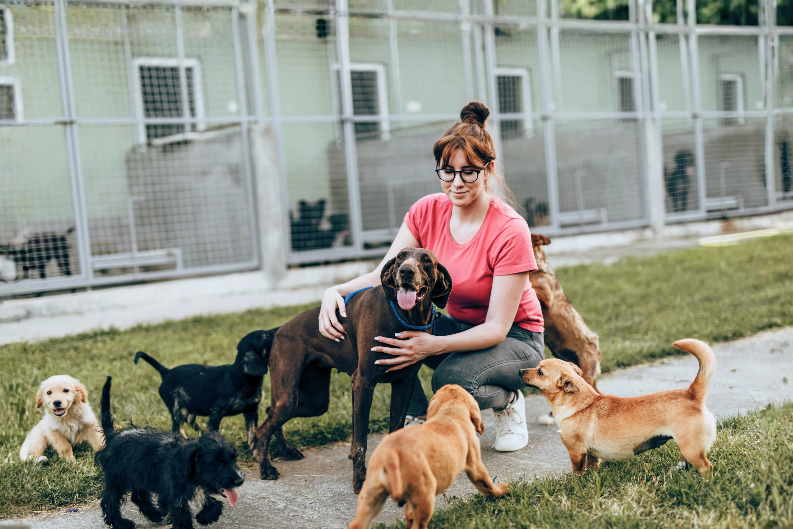 mise en relation clients