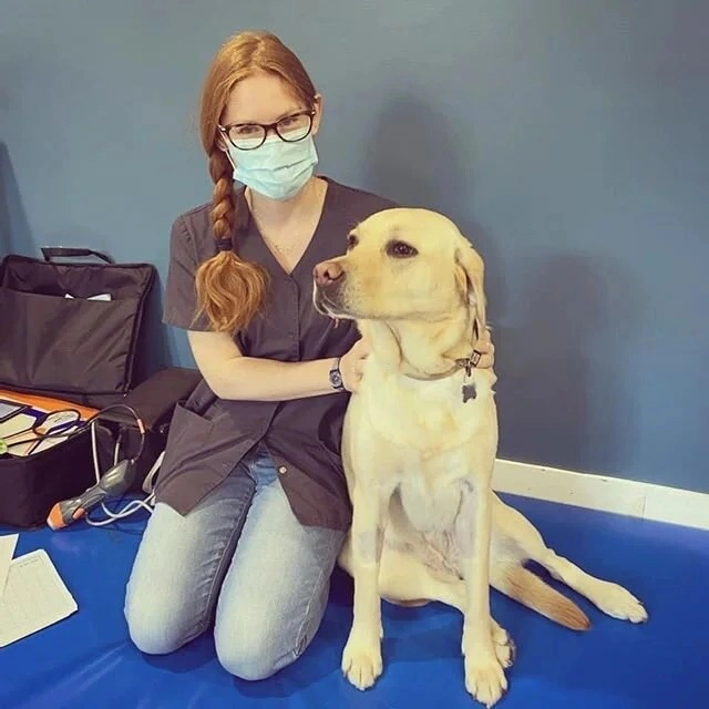 Ostéopathie animale pour chiens et chats. Fiona Tison vétérinaire, pratique exclusive en ostéopathie et physiothérapie