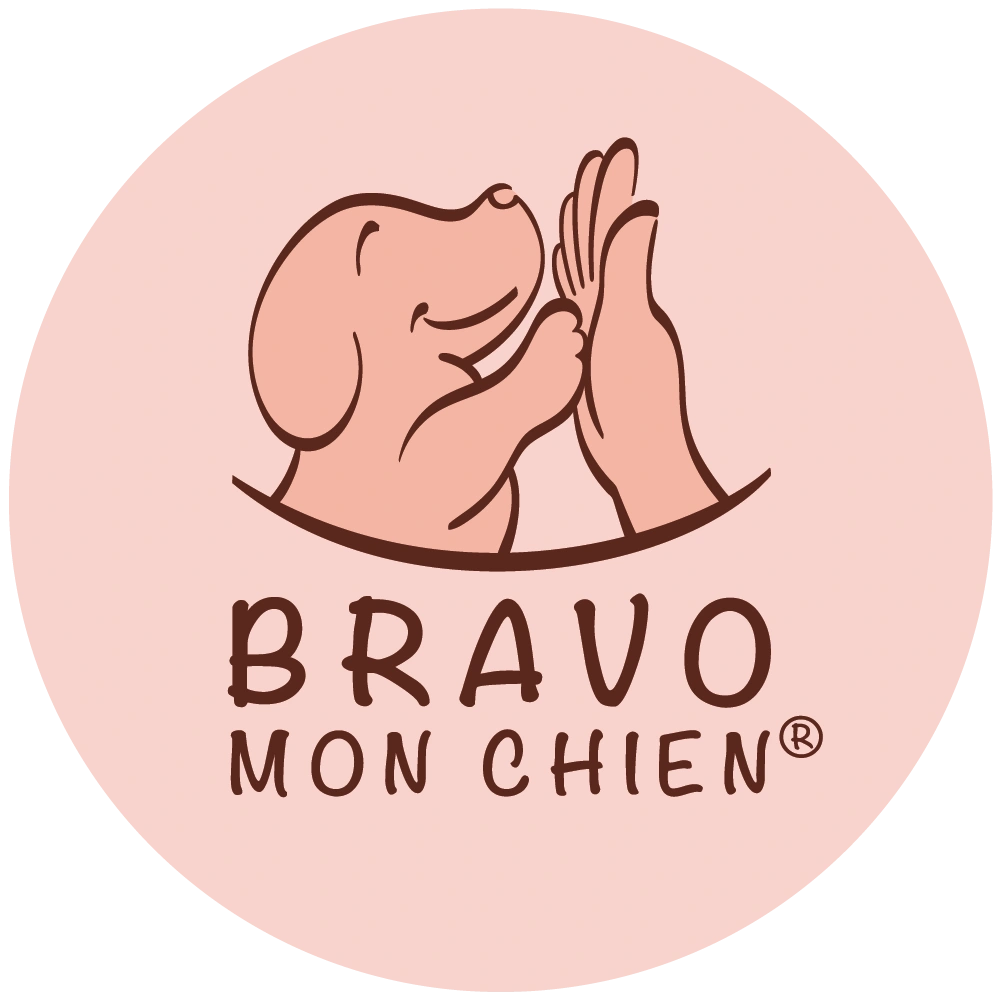 Bravo mon Chien
