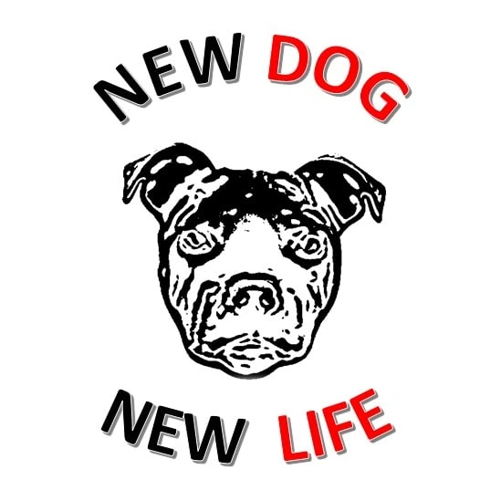3D Canin Education Canine