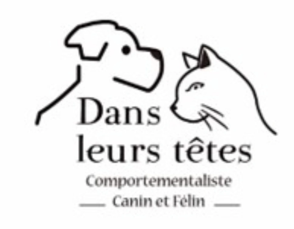 Dans leurs têtes