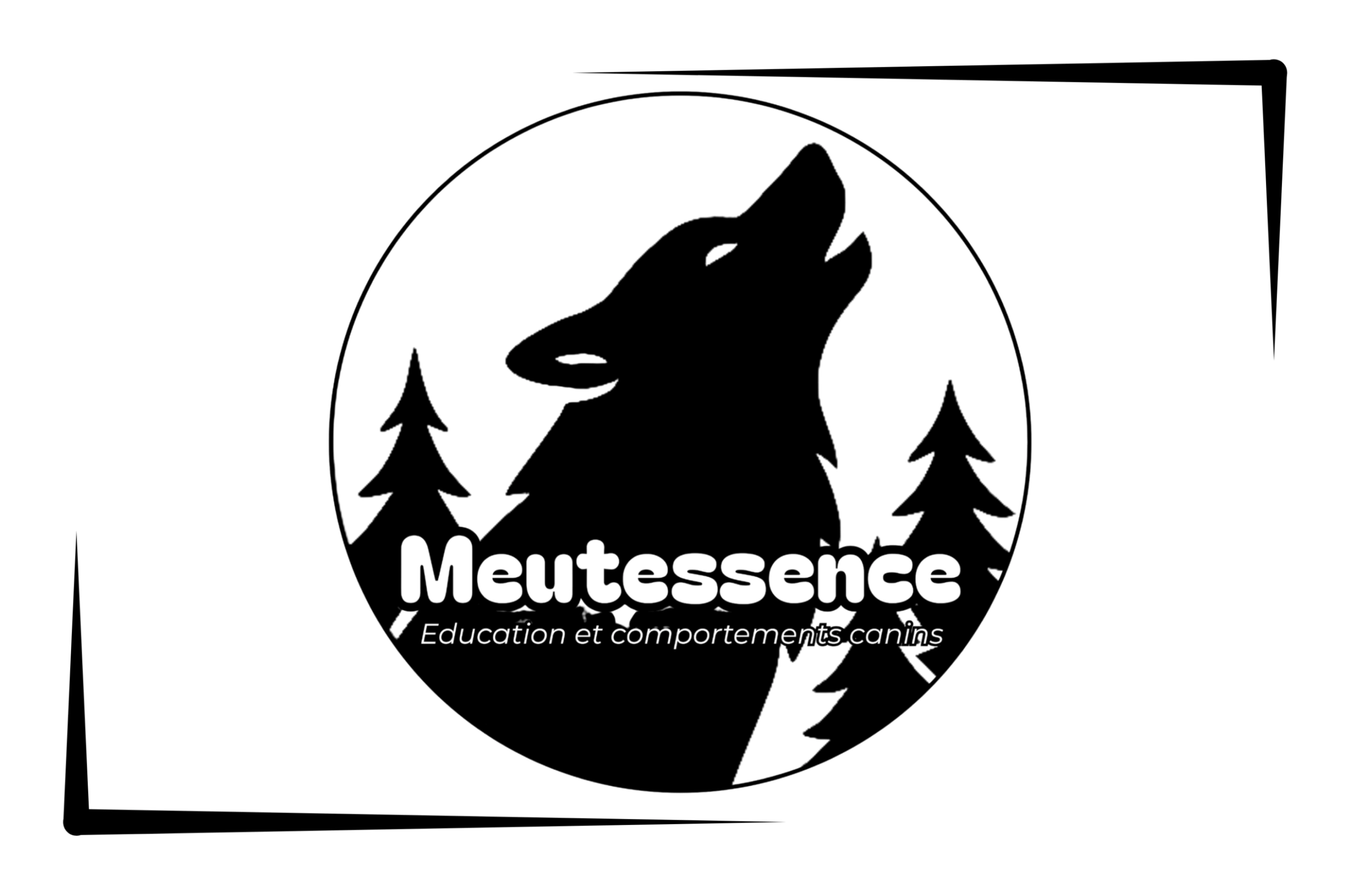 Meutessence éducation canine villeurbanne