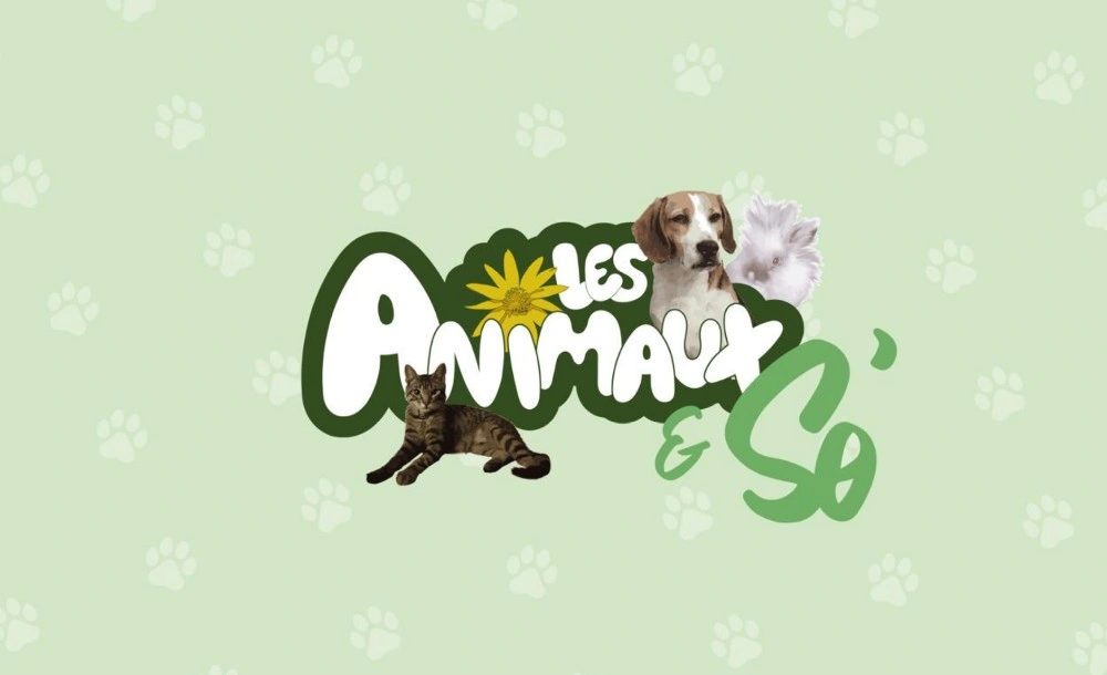 Les Animaux & So'