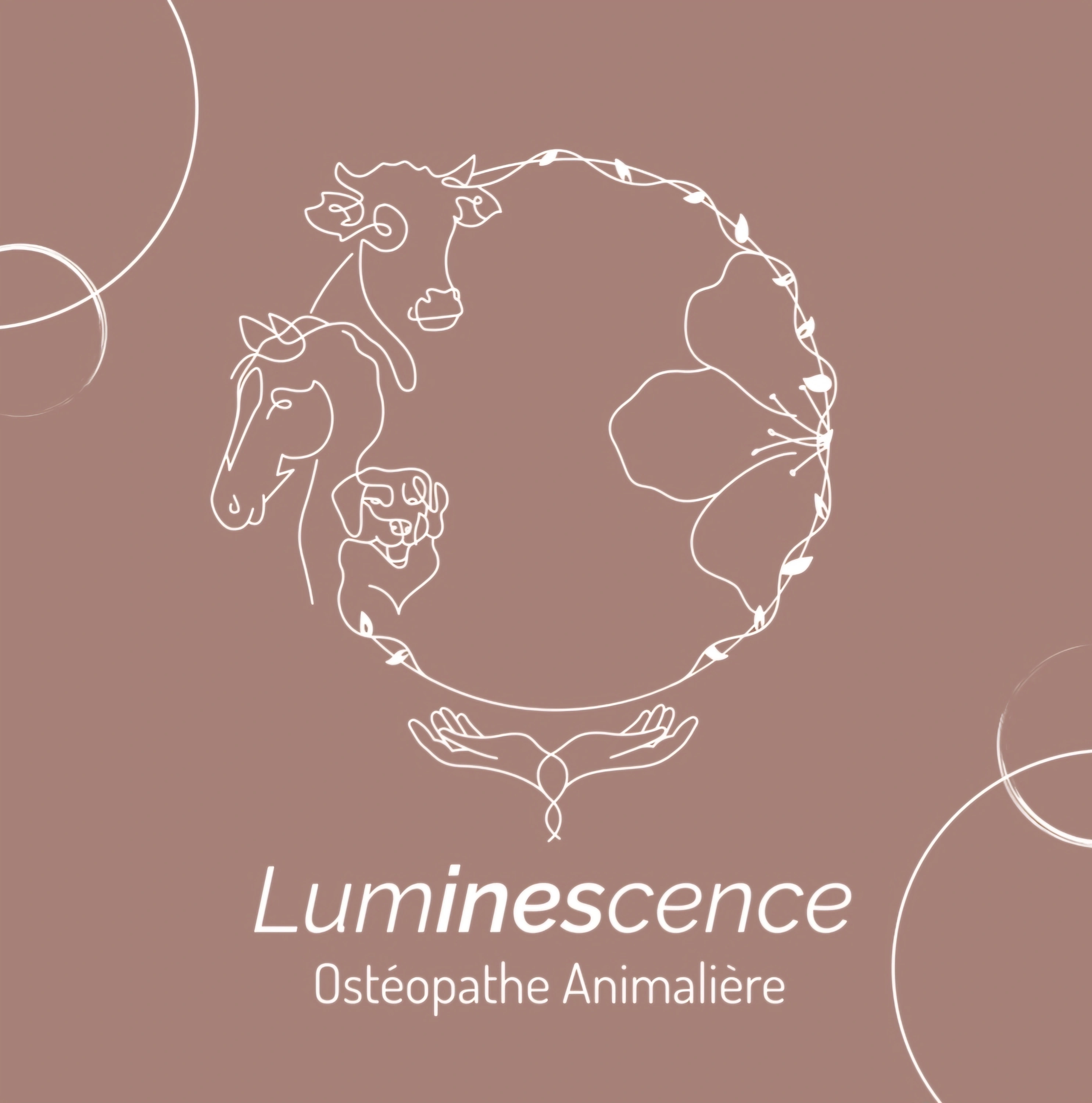 Inès Payelle - Luminescence - Ostéopathe Animalière OA1620
