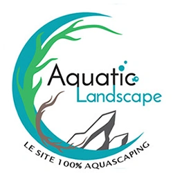 Aquatic landscape