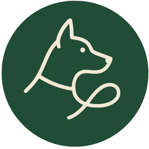 Dardidog