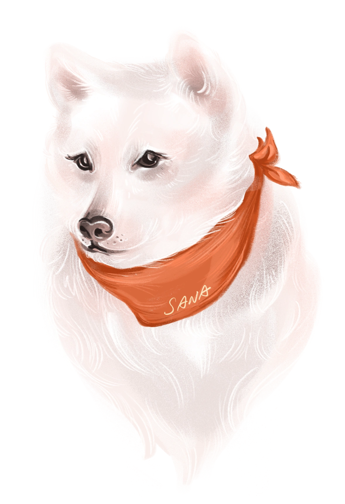 Jonathan Hubert éducation canine