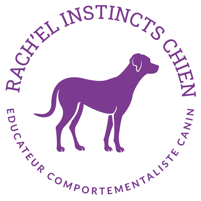 Rach'el Instinct chiens