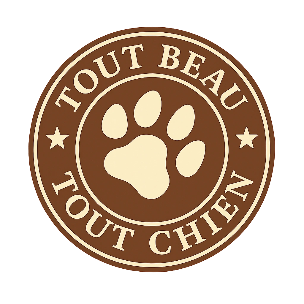 tout beau tout chien