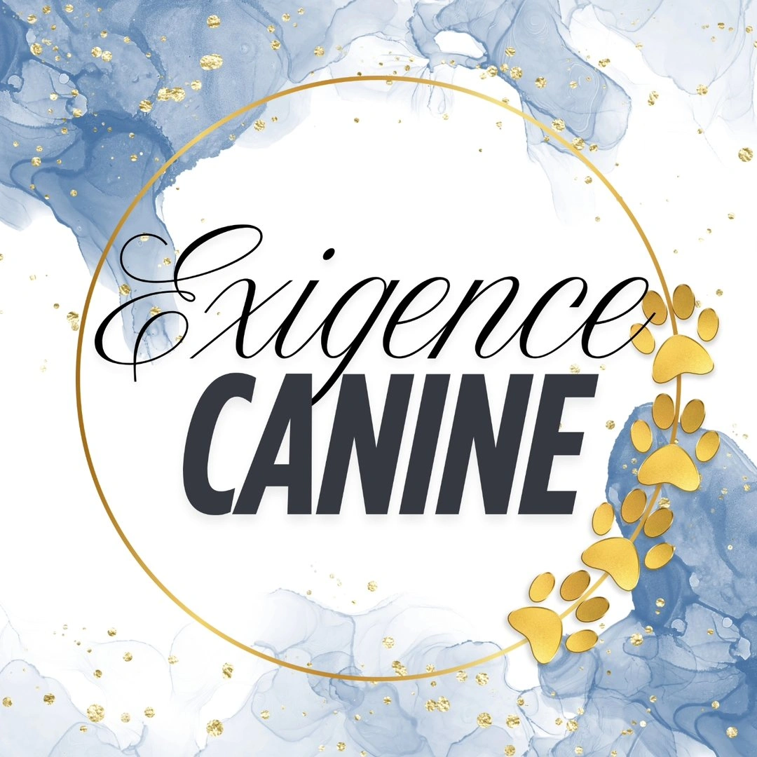 Exigence Canine