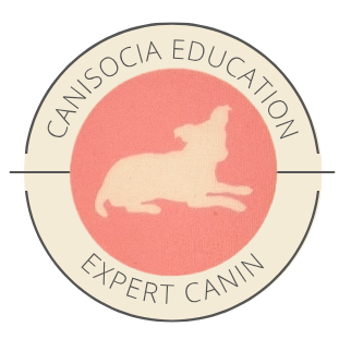 Canisocia Education