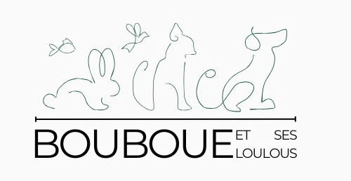 Bouboue et ses Loulous