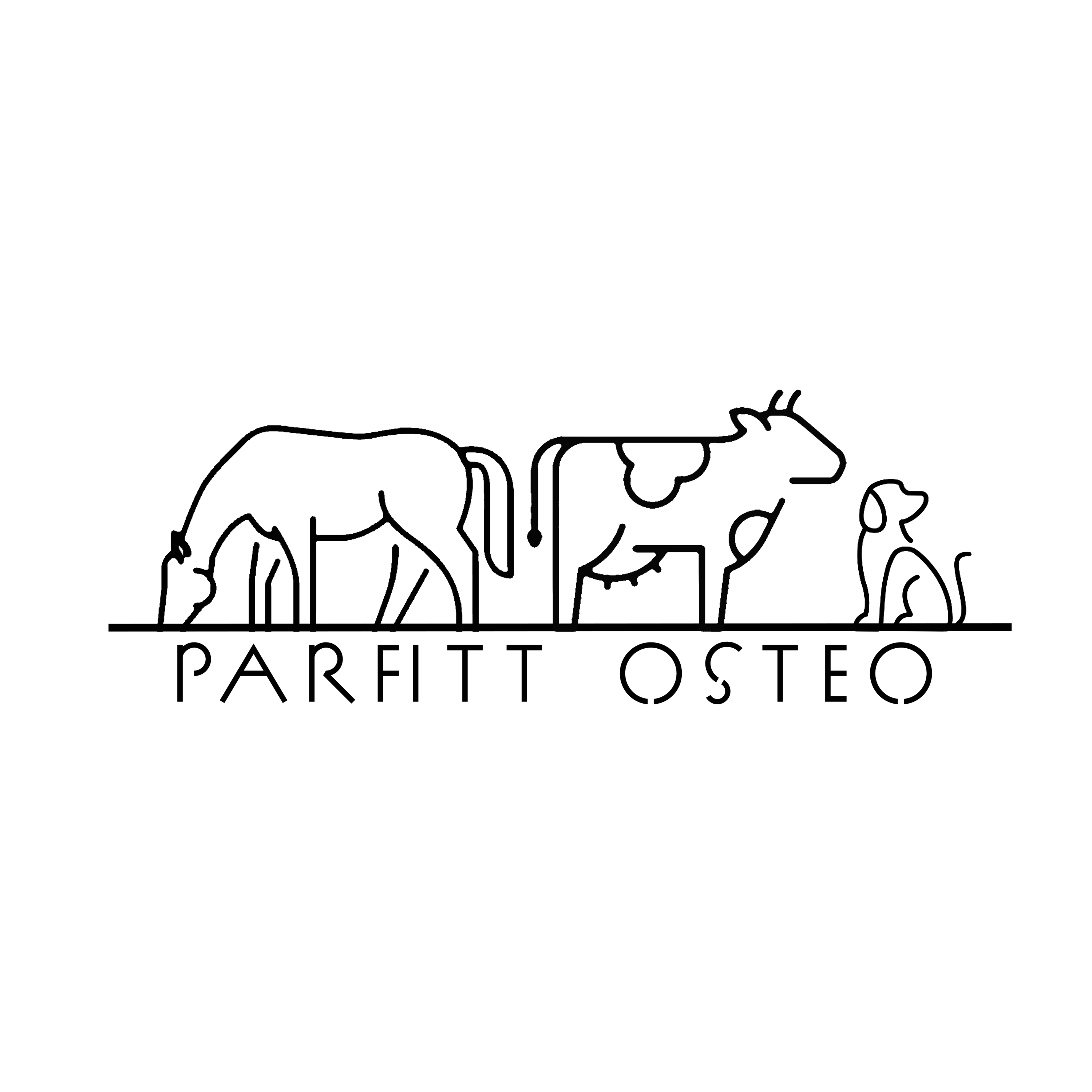 Emma Parfitt - Ostéopathe Equin, Canin