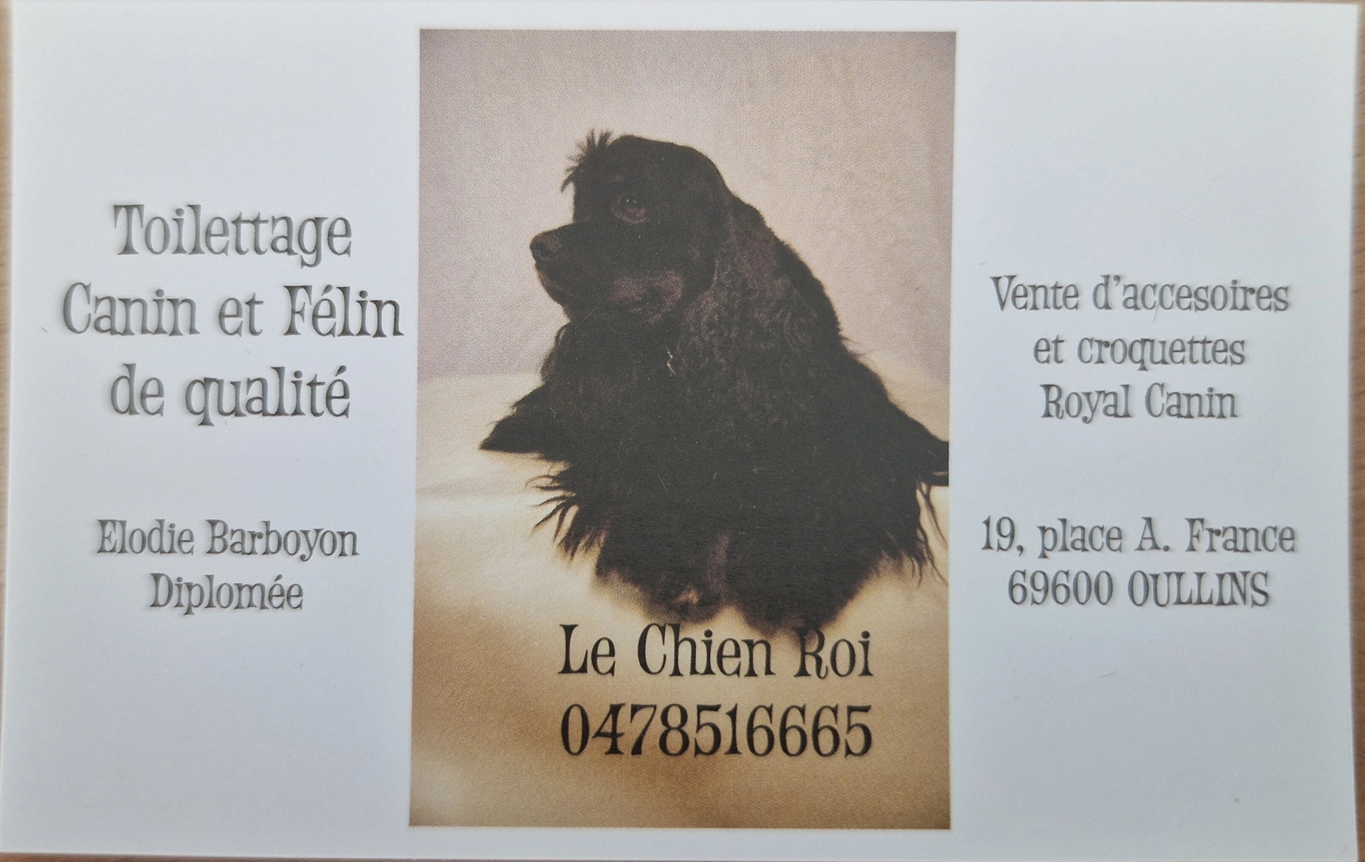 Le Chien Roi