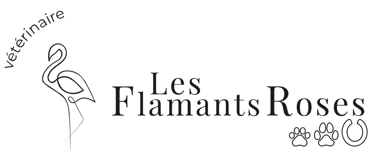 Cabinet vétérinaire des flamants roses