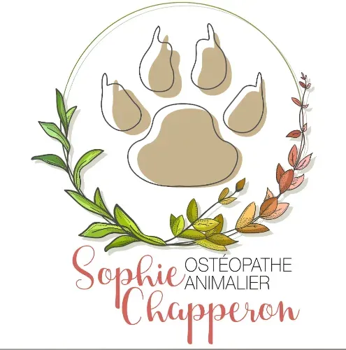 SOPHIE CHAPPERON
